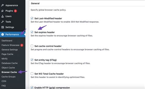 add expires headers w3 total cache|How to Add Expires Headers in WordPress (Step by Step) .